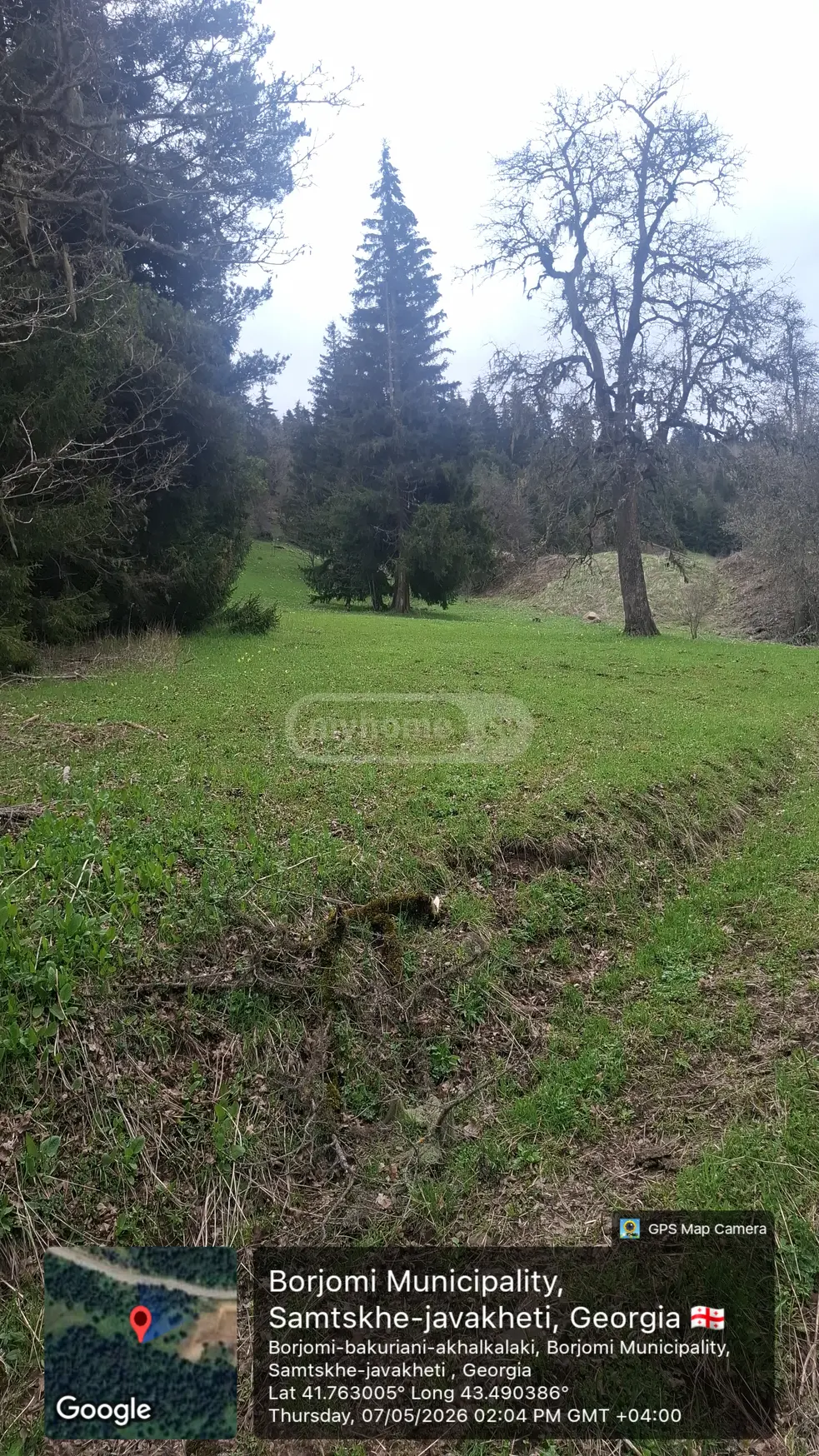 Agricultural Plot For Sale In Bakuriani view 1