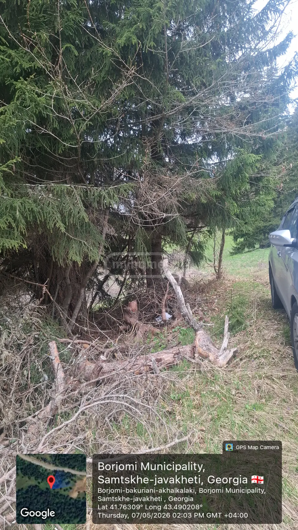 Agricultural Plot For Sale In Bakuriani view 4