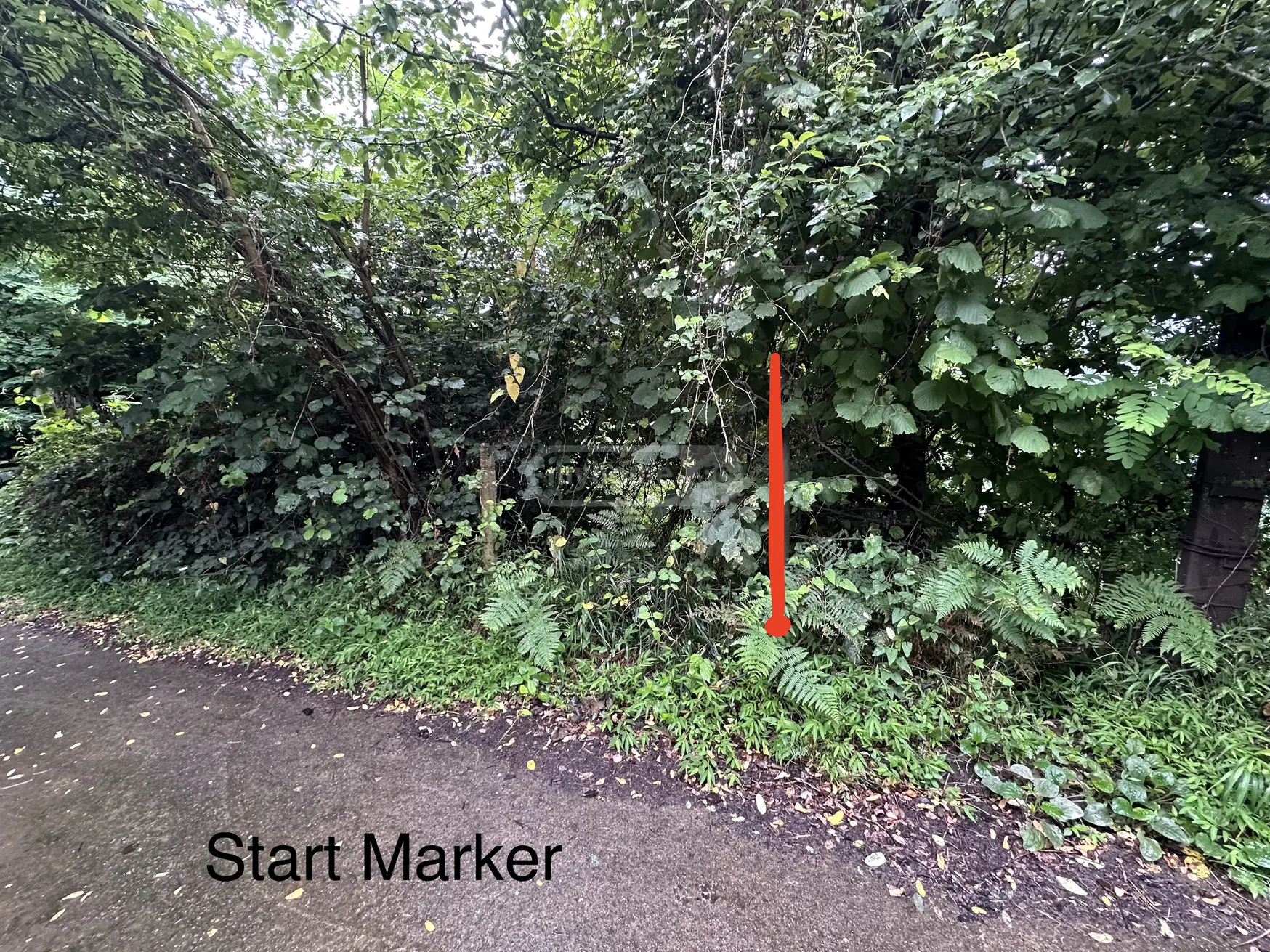 Agricultural Plot For Sale view 3