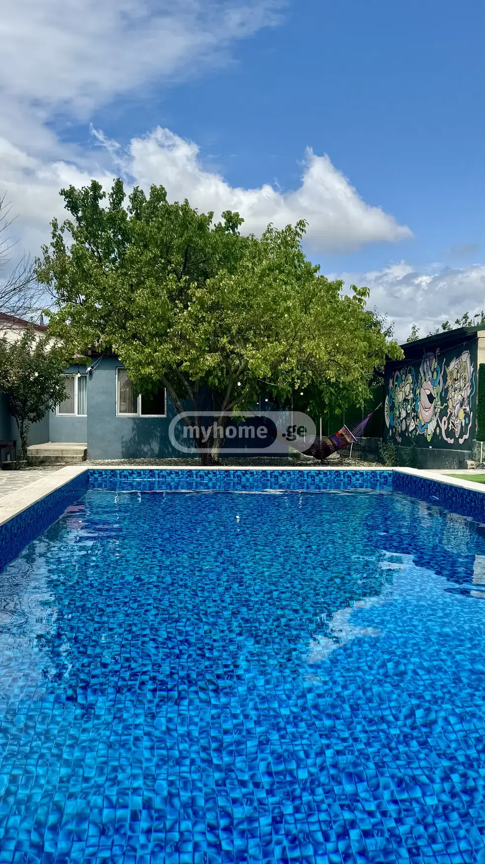 3 Room Private House Daily Rent In Chugureti view 4