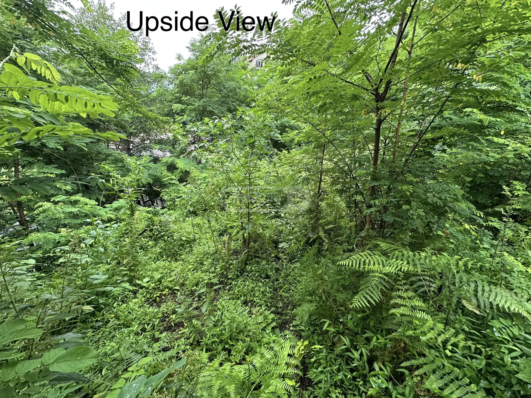 Agricultural Plot For Sale view 9