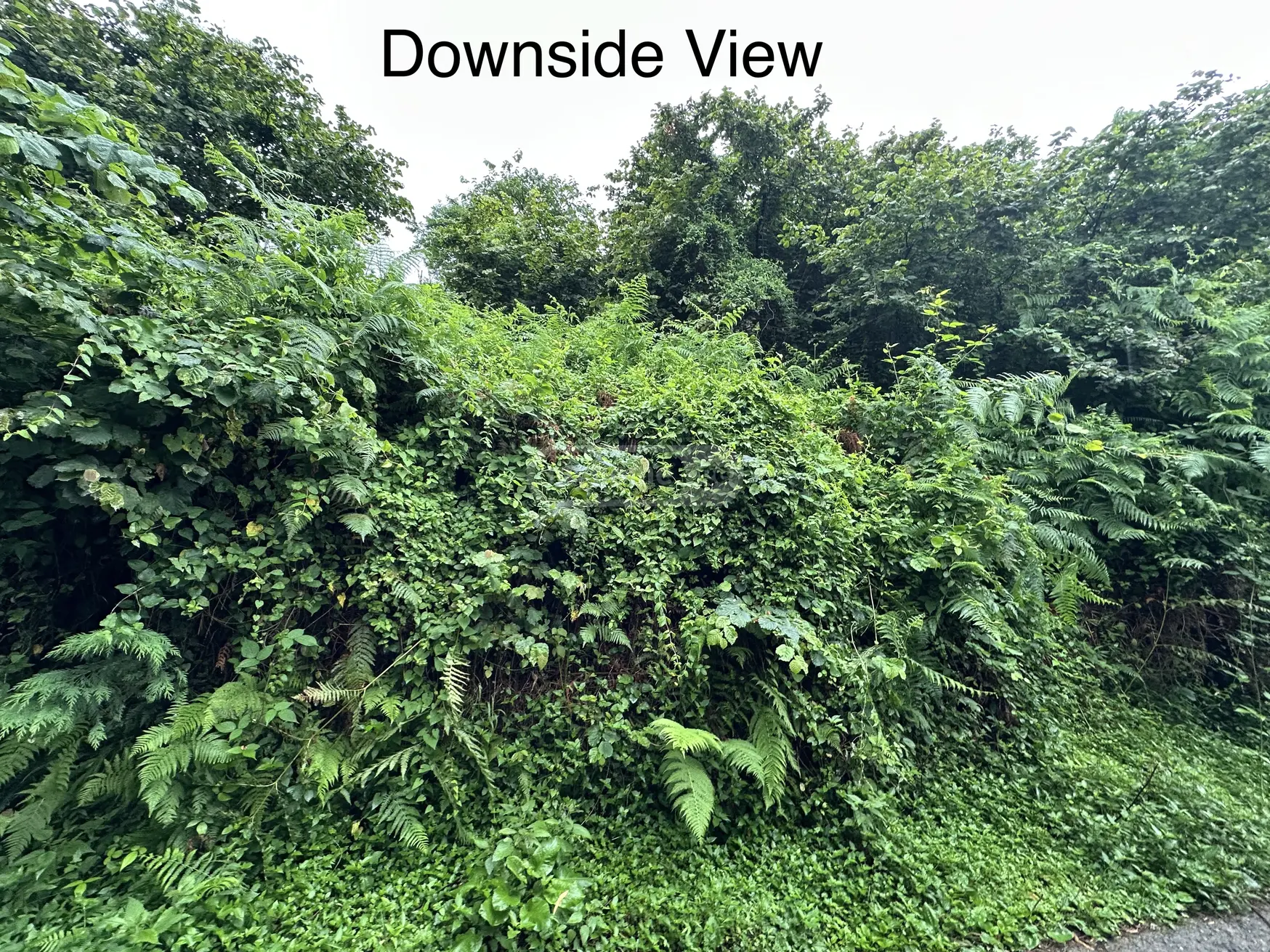 Agricultural Plot For Sale view 8