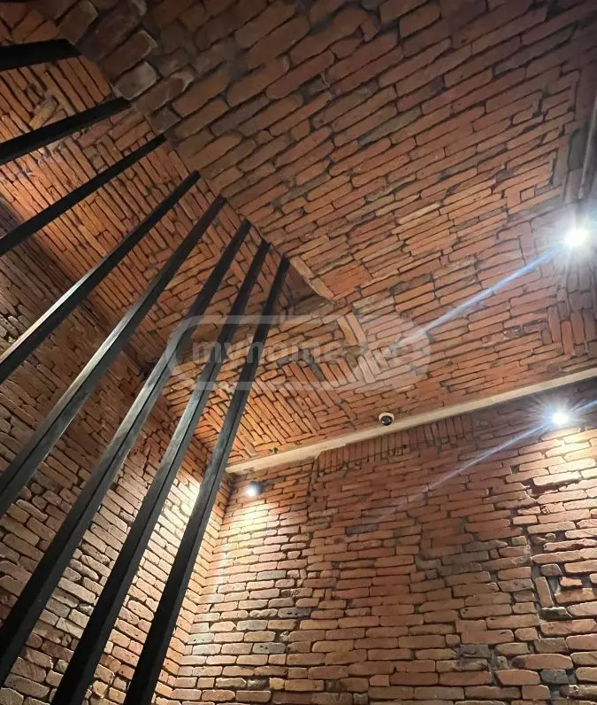 Universal Commercial Area For Rent In Sololaki view 6