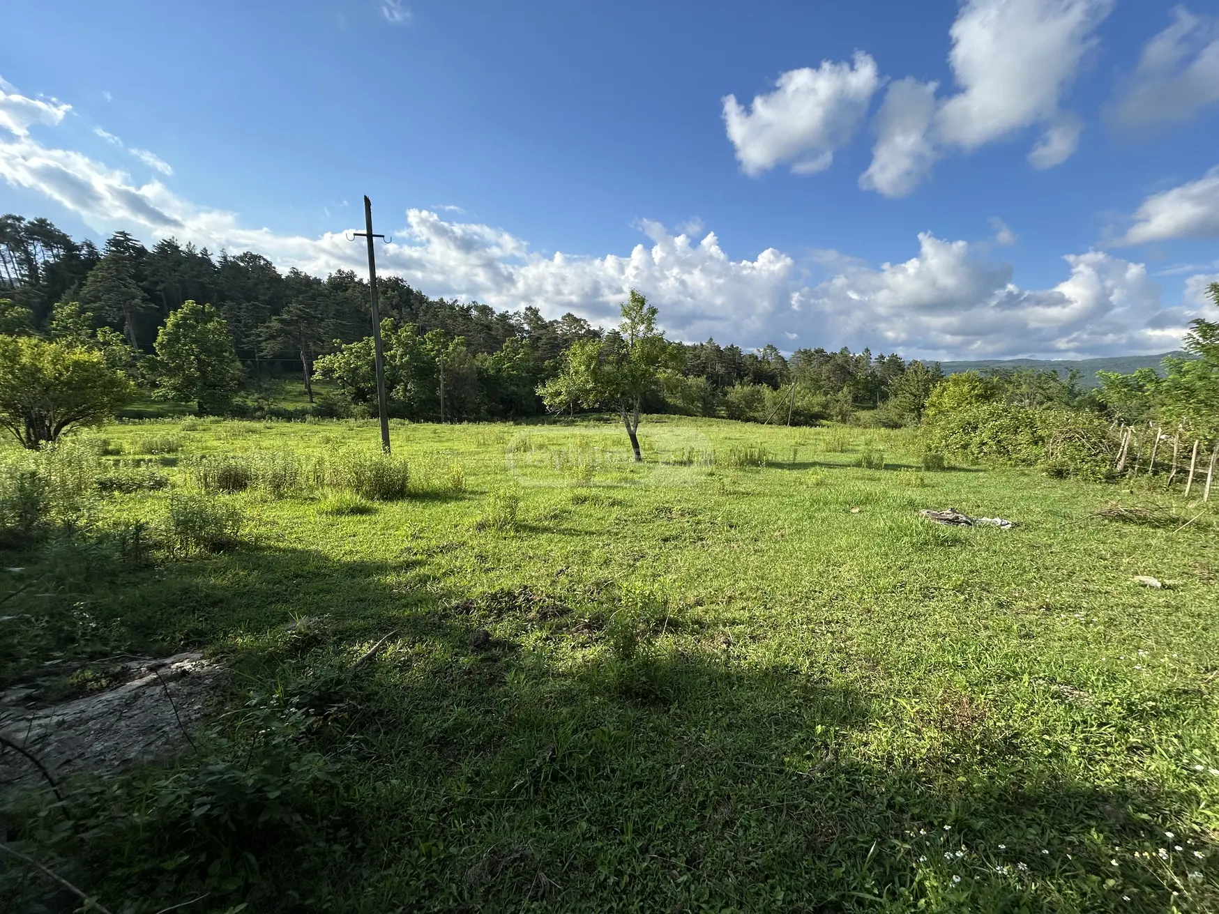 Agricultural Plot For Sale In Khomuli, In Tskaltubo Municipality view 6