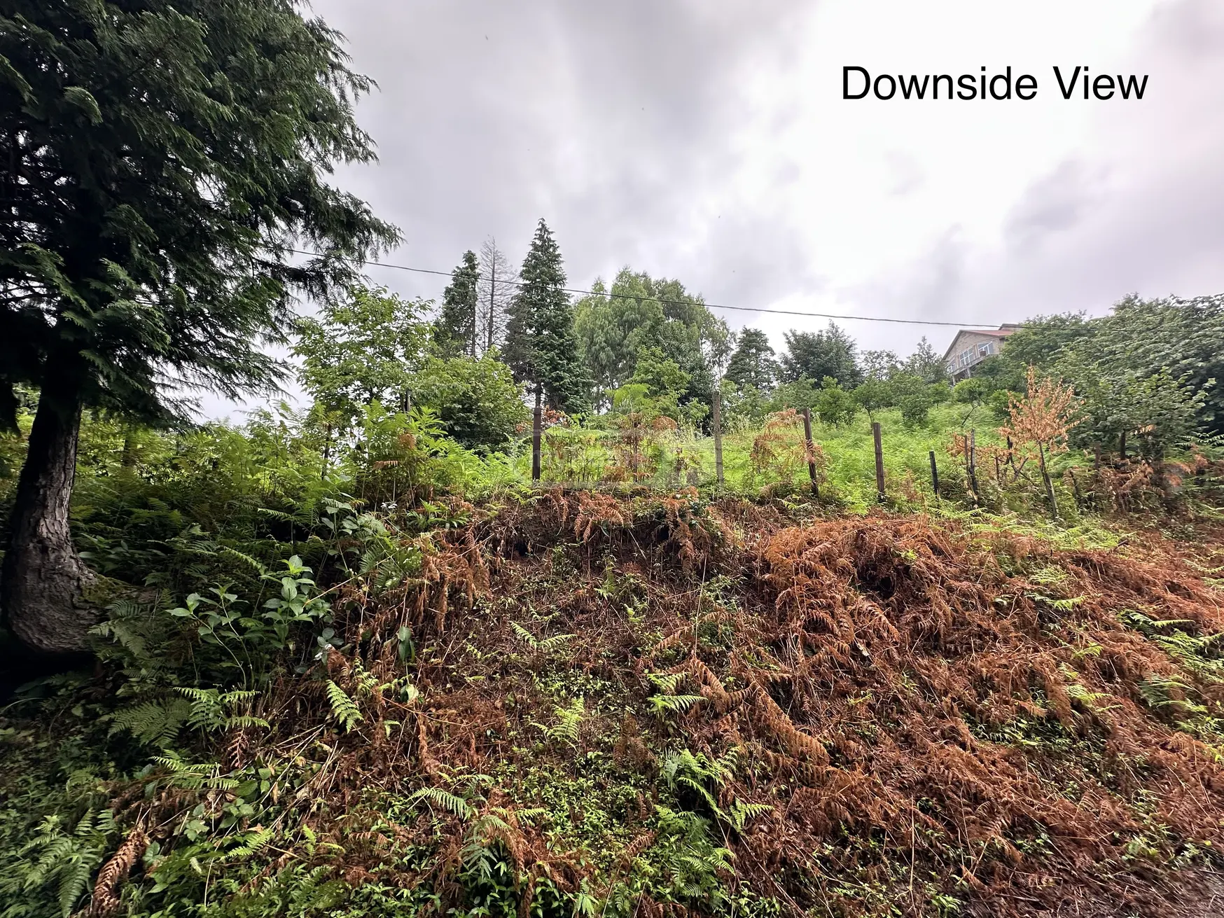 Agricultural Plot For Sale view 2