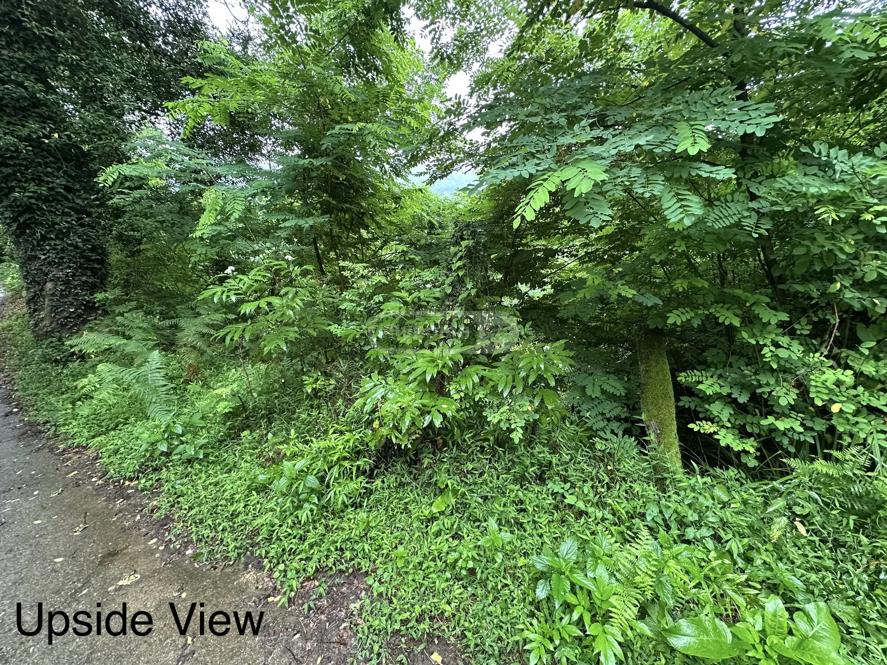 Agricultural Plot For Sale view 7