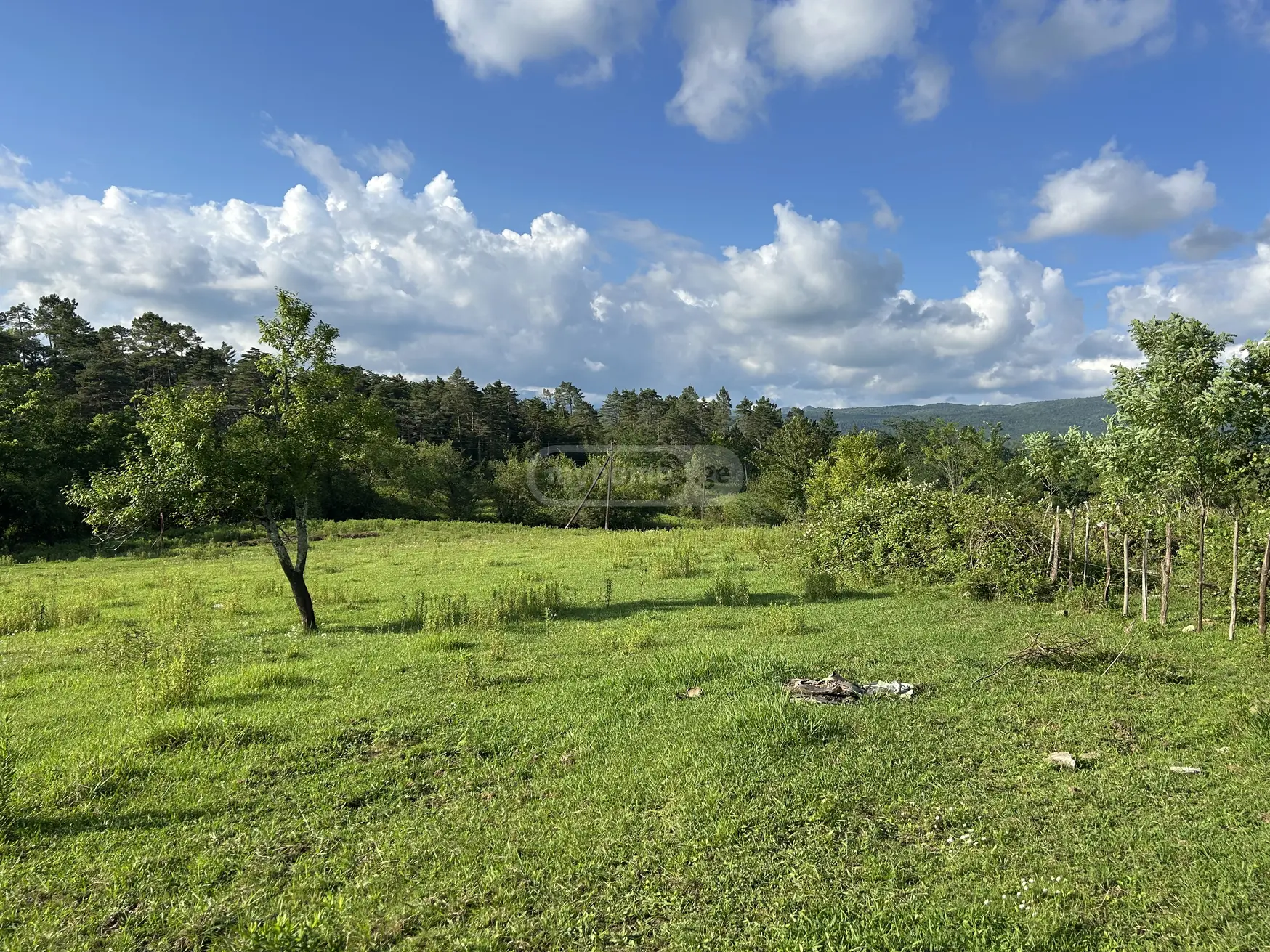 Agricultural Plot For Sale In Khomuli, In Tskaltubo Municipality view 3