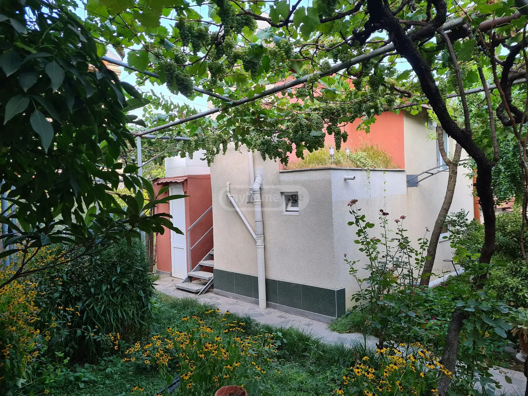 1 Room Flat For Rent. Mtskheta view 20