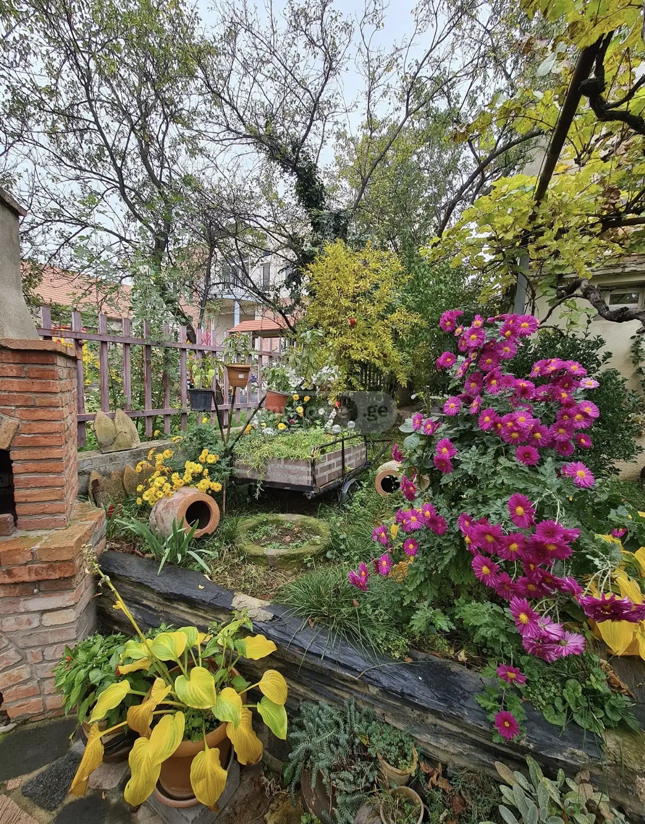 1 Room Flat For Rent. Mtskheta view 15