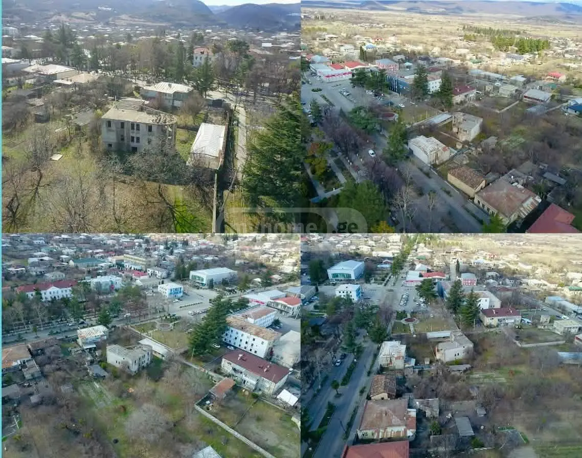 Universal Commercial Area For Sale In Akhmeta view 3