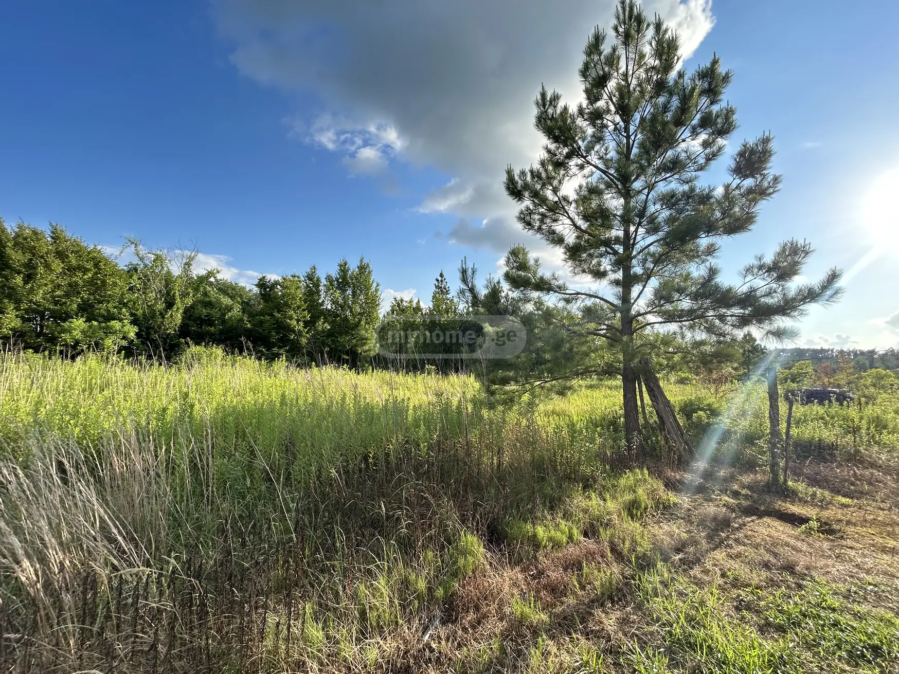 იყიდება Non-Agricultural Plot In Tskaltuboში view 2
