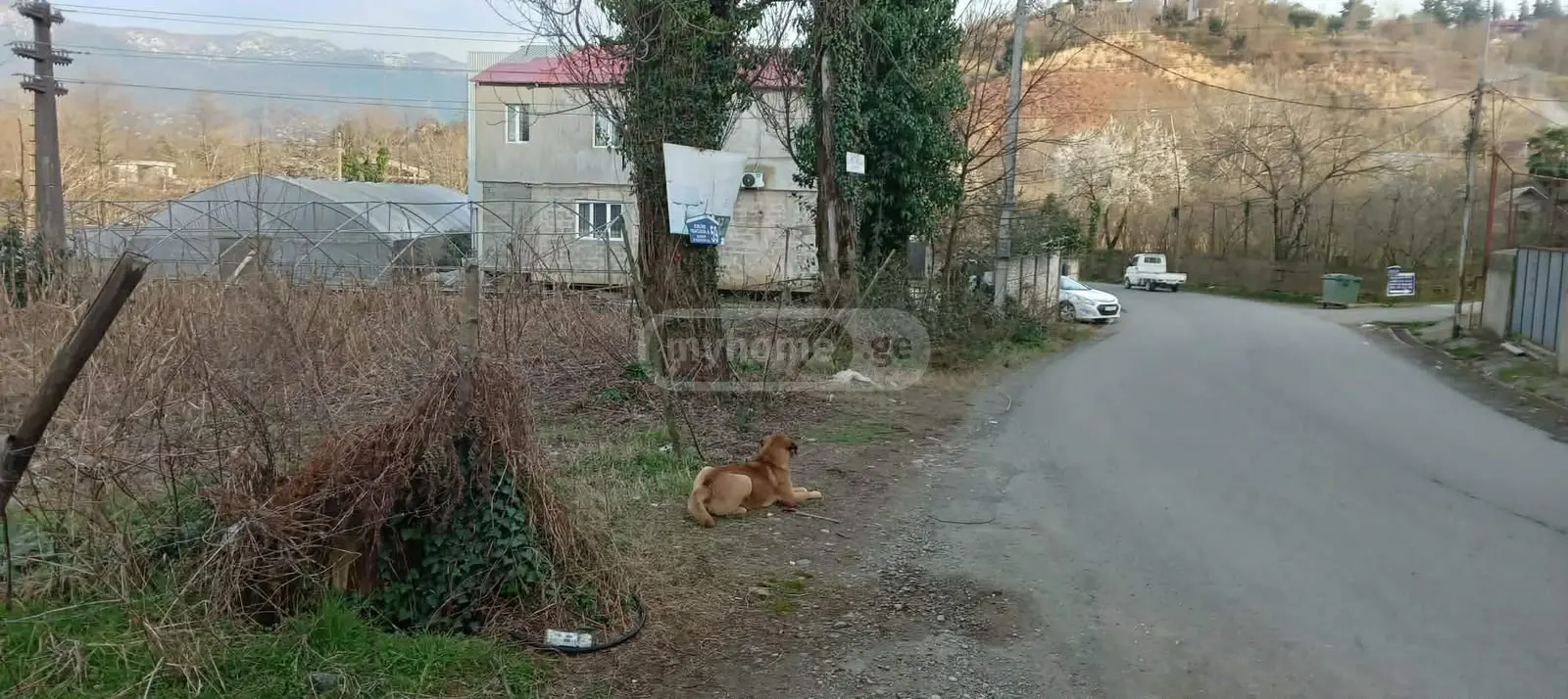 Agricultural Plot For Sale Bagrationis Ubani, In Batumi view 3