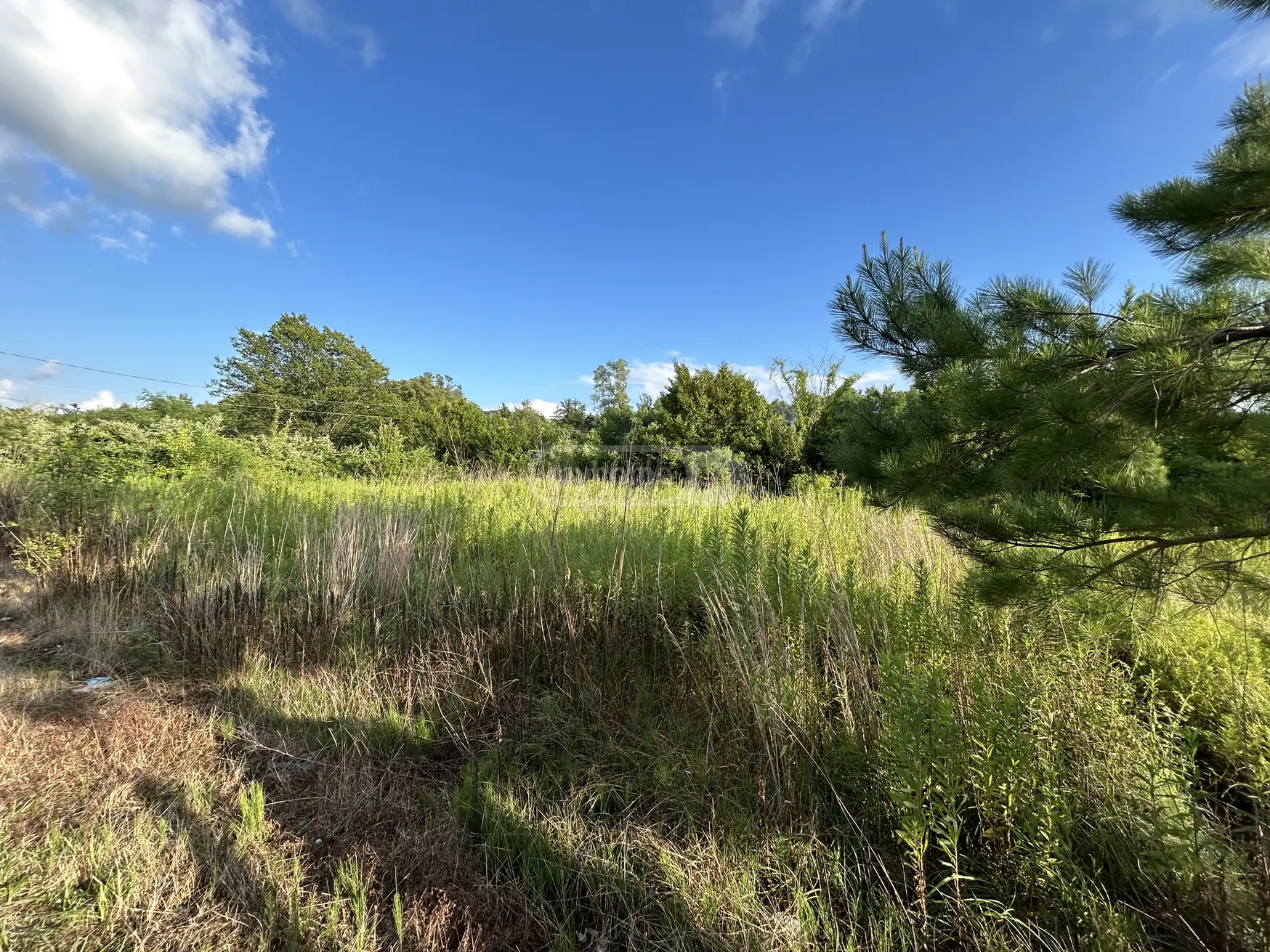 იყიდება Non-Agricultural Plot In Tskaltuboში view 3