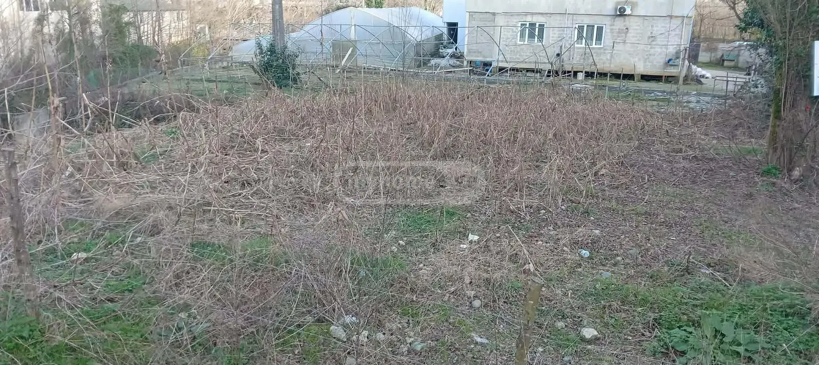 Agricultural Plot For Sale Bagrationis Ubani, In Batumi view 4