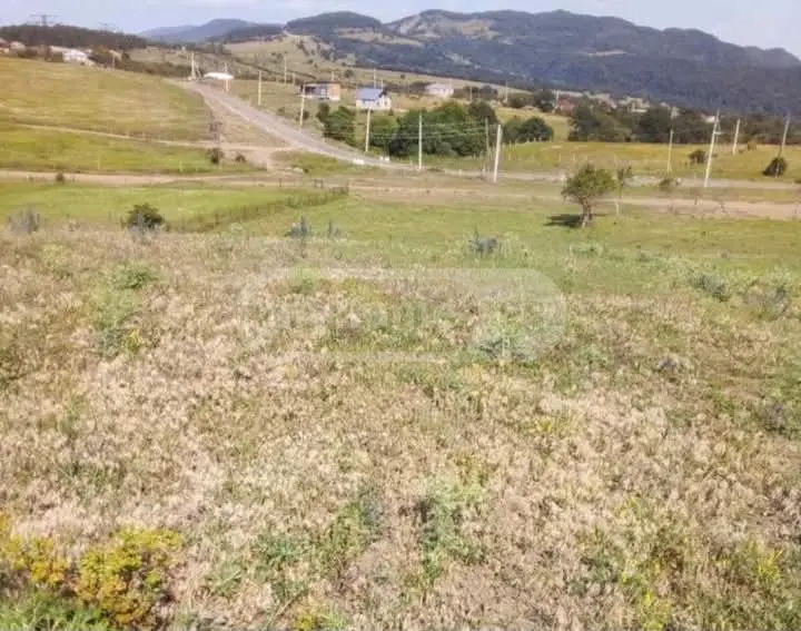 Agricultural Plot For Sale In Tetritskaro view 1
