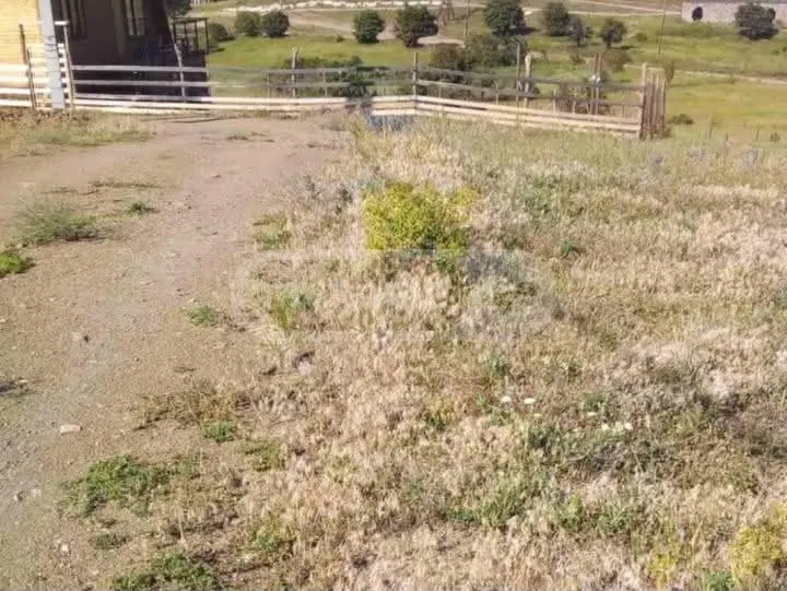Agricultural Plot For Sale In Tetritskaro view 3