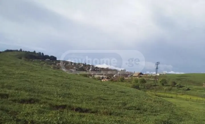 Agricultural Plot For Sale In Tetritskaro view 4