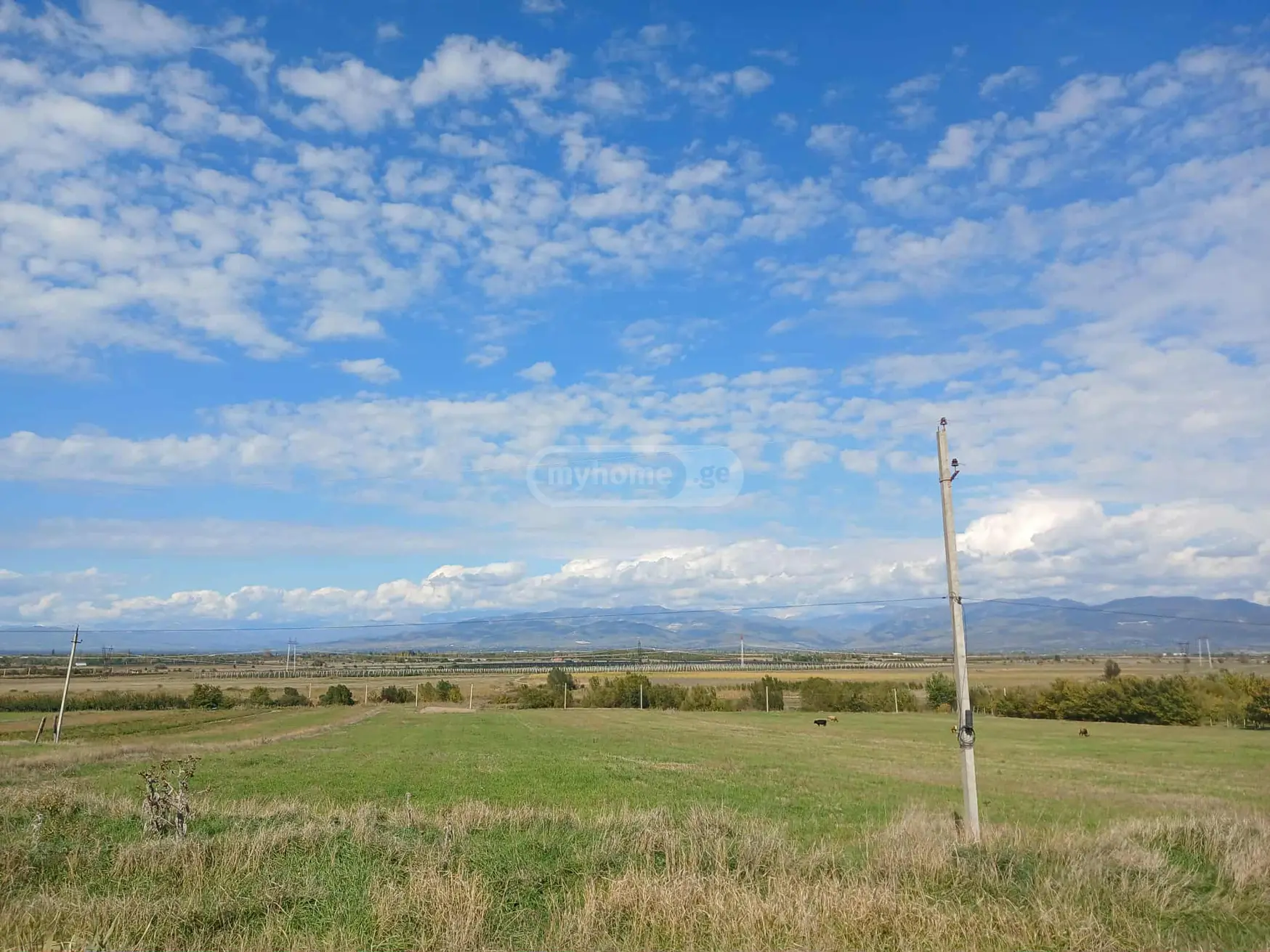 Agricultural Plot For Sale In Gori view 6