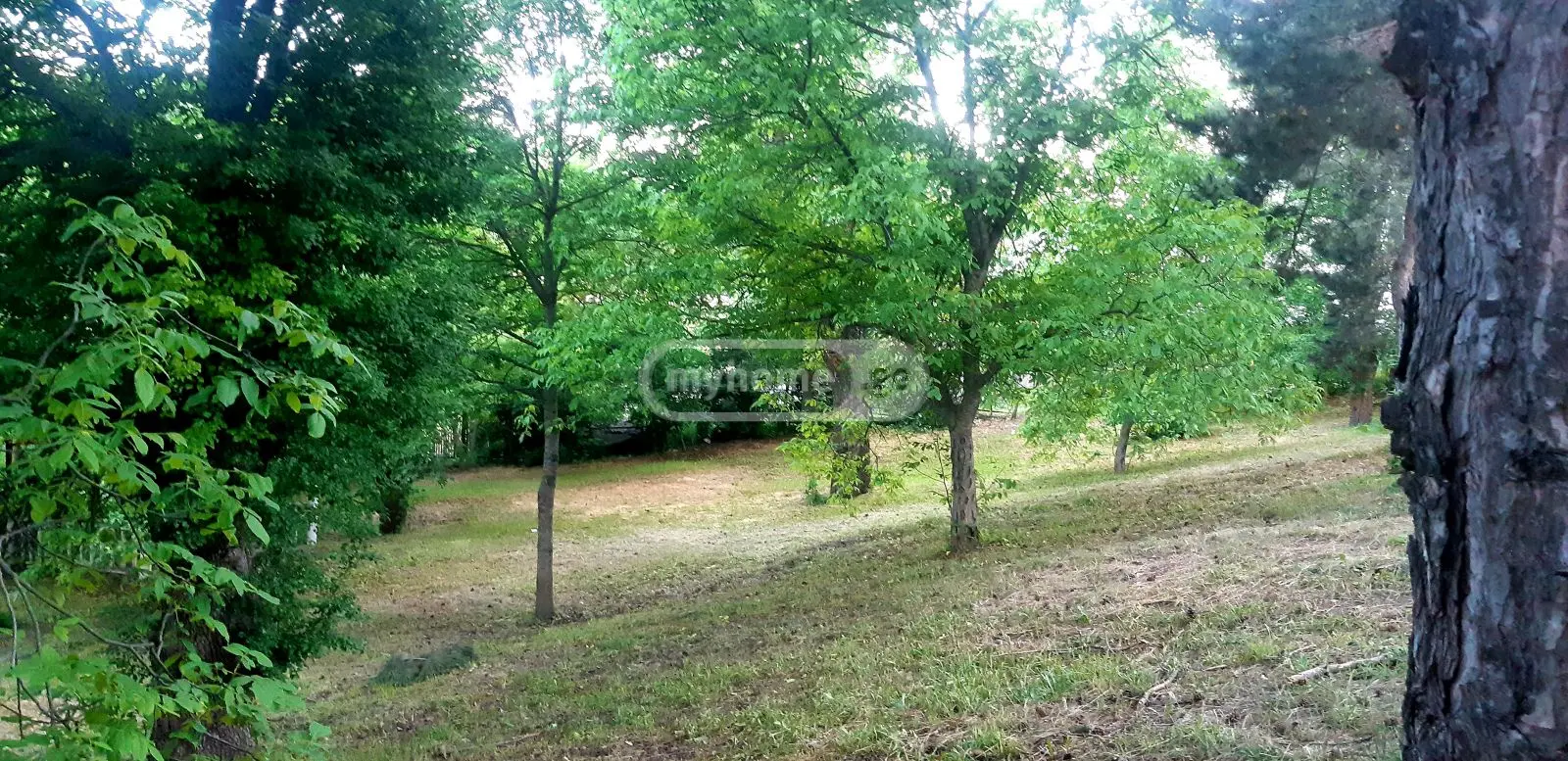 10+ Room Hotel For Sale In Kojori view 5