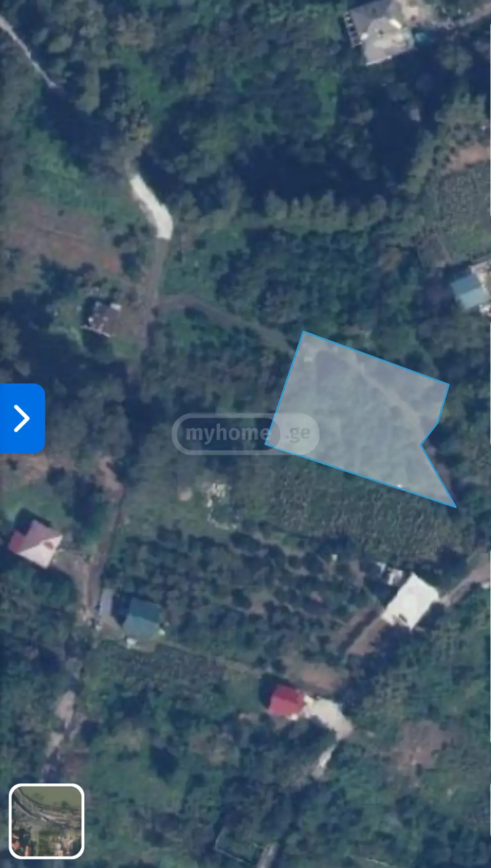 Agricultural Plot For Sale In Gonio, In Khelvachauri Municipality view 4
