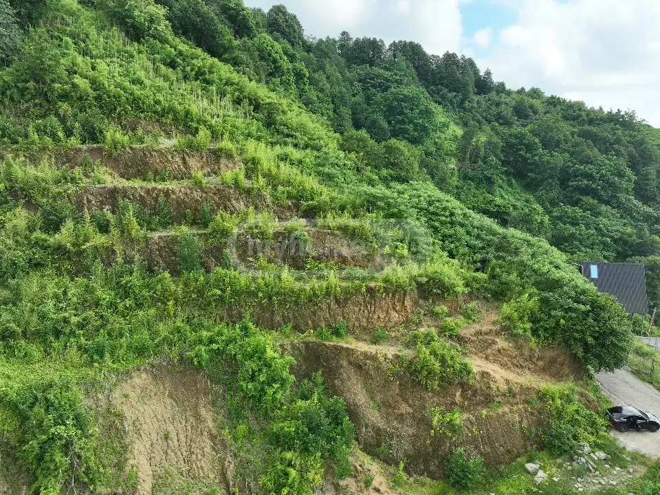 Non-Agricultural Plot For Sale In Gonio, In Khelvachauri Municipality view 3