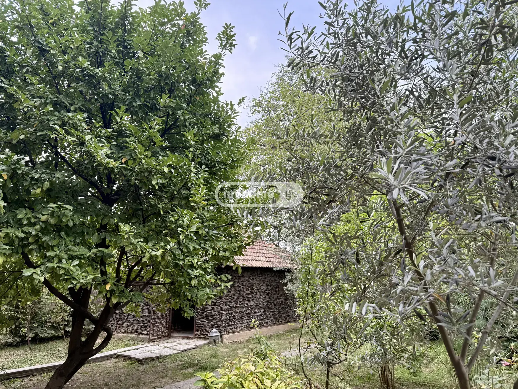 9 Room Country House For Rent In Saguramo, In Mtskheta Municipality view 4