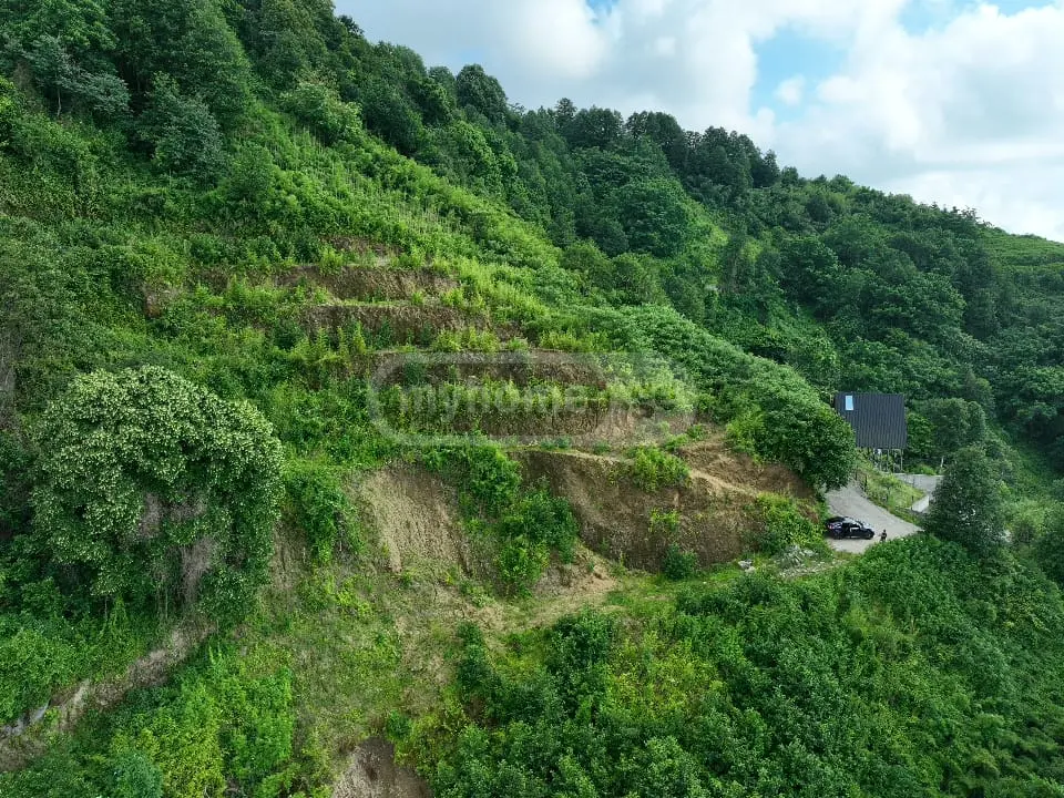 Non-Agricultural Plot For Sale In Gonio, In Khelvachauri Municipality view 4