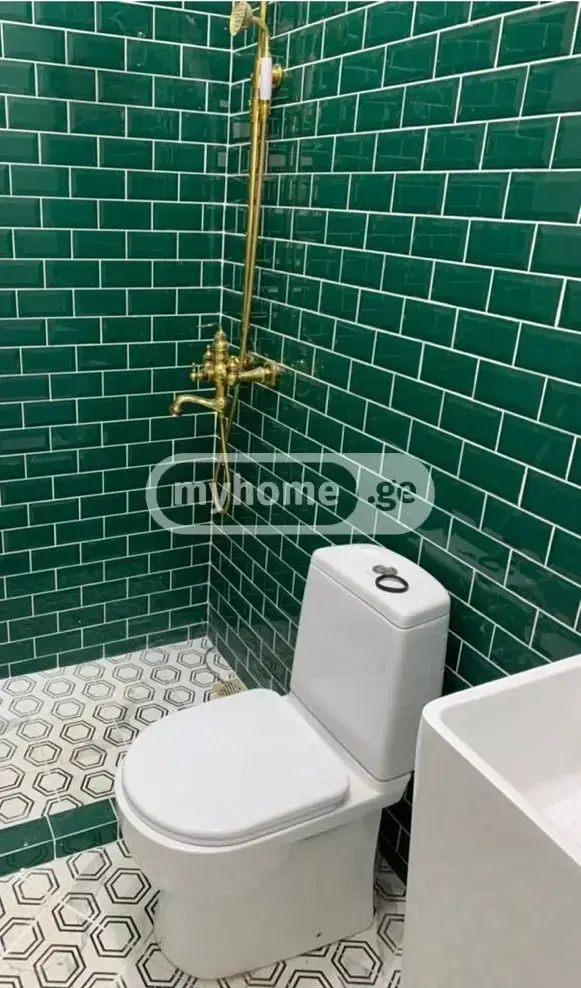 4 Room Country House For Rent In Tskneti view 15