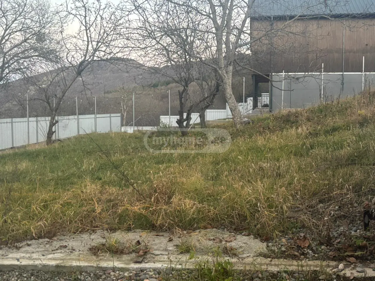 Agricultural Plot For Sale In Betania view 3