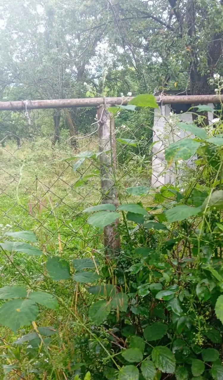 4 Room Private House For Sale view 5