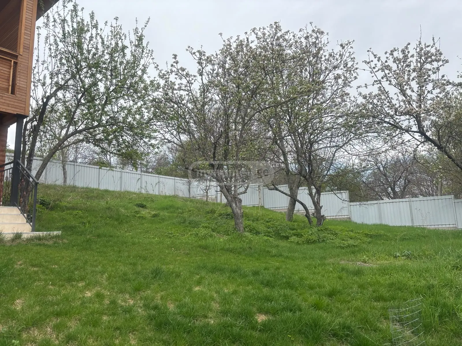 Agricultural Plot For Sale In Betania view 1