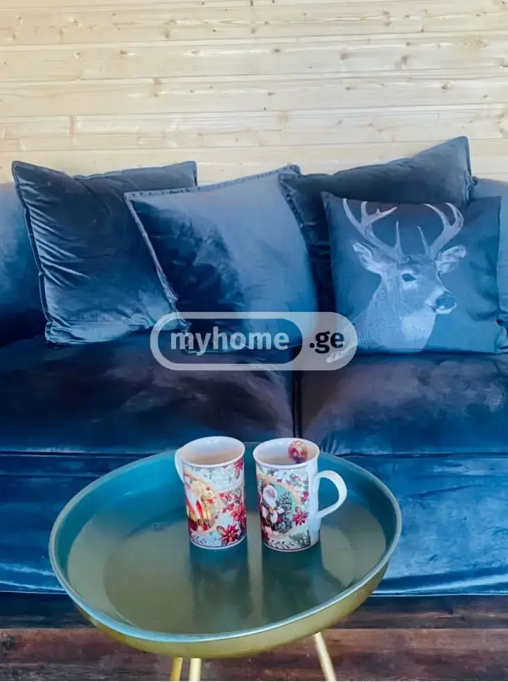4 Room Country House For Rent In Tskneti view 9
