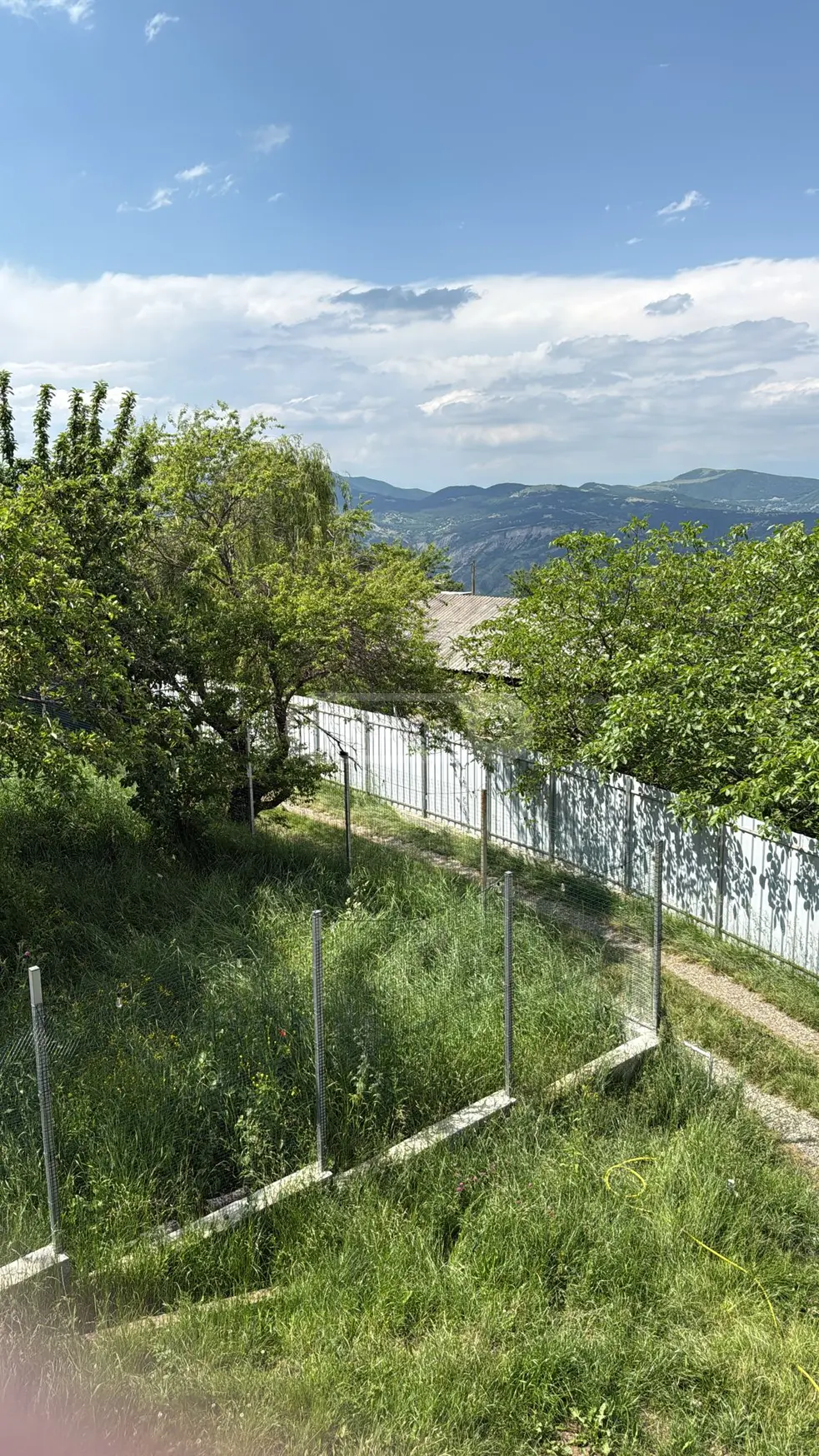 Agricultural Plot For Sale In Betania view 11
