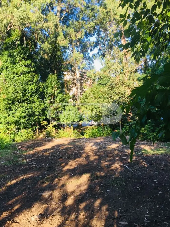 Non-Agricultural Plot For Sale In Chaqvi, In Kobuleti Municipality view 2