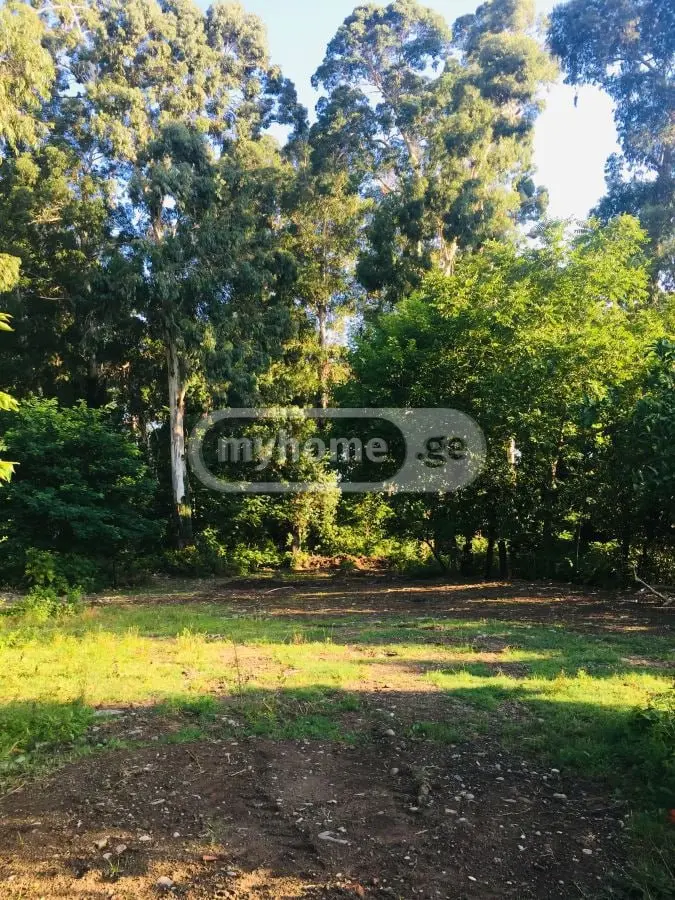 Non-Agricultural Plot For Sale In Chaqvi, In Kobuleti Municipality view 1