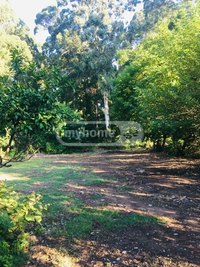 Non-Agricultural Plot For Sale In Chaqvi, In Kobuleti Municipality view 3