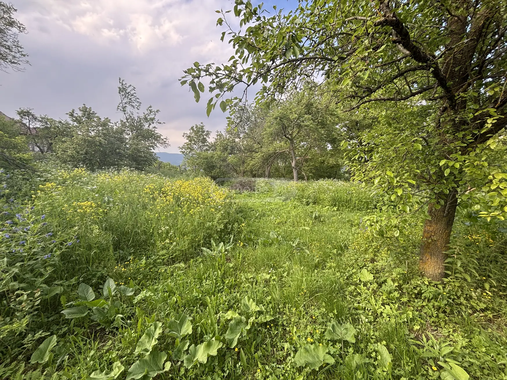 2 Room Country House For Sale view 9