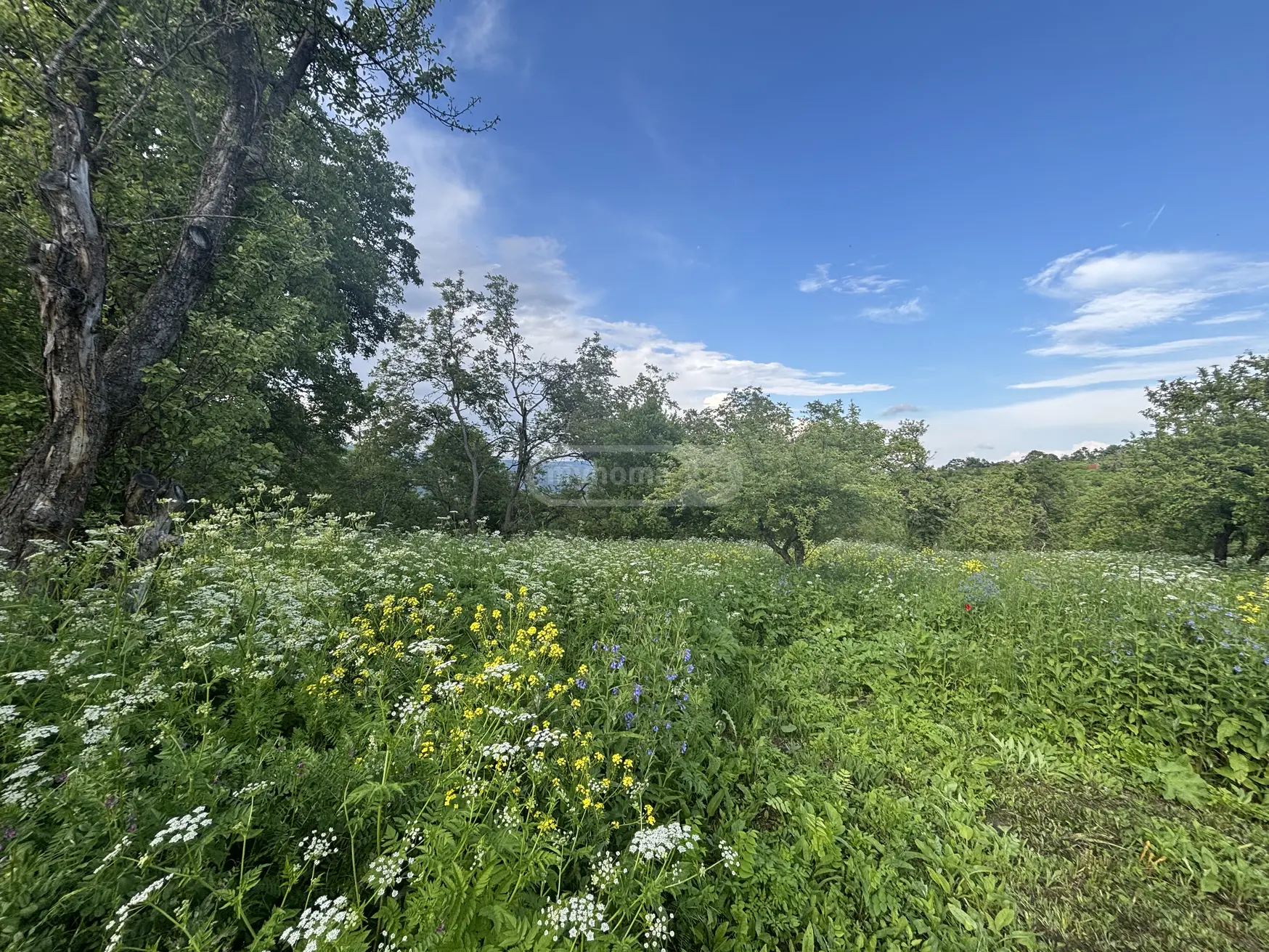 2 Room Country House For Sale view 15