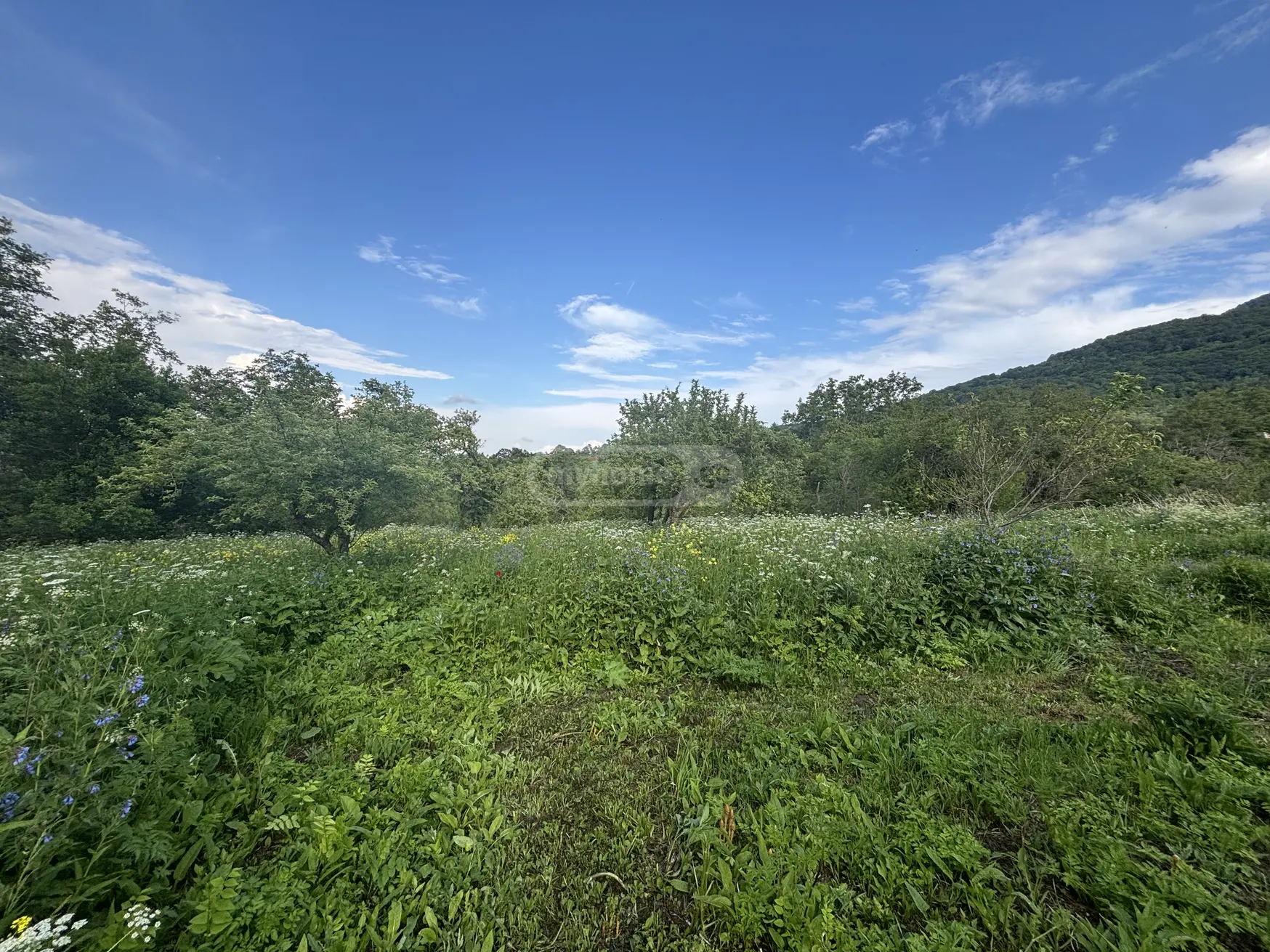 2 Room Country House For Sale view 14