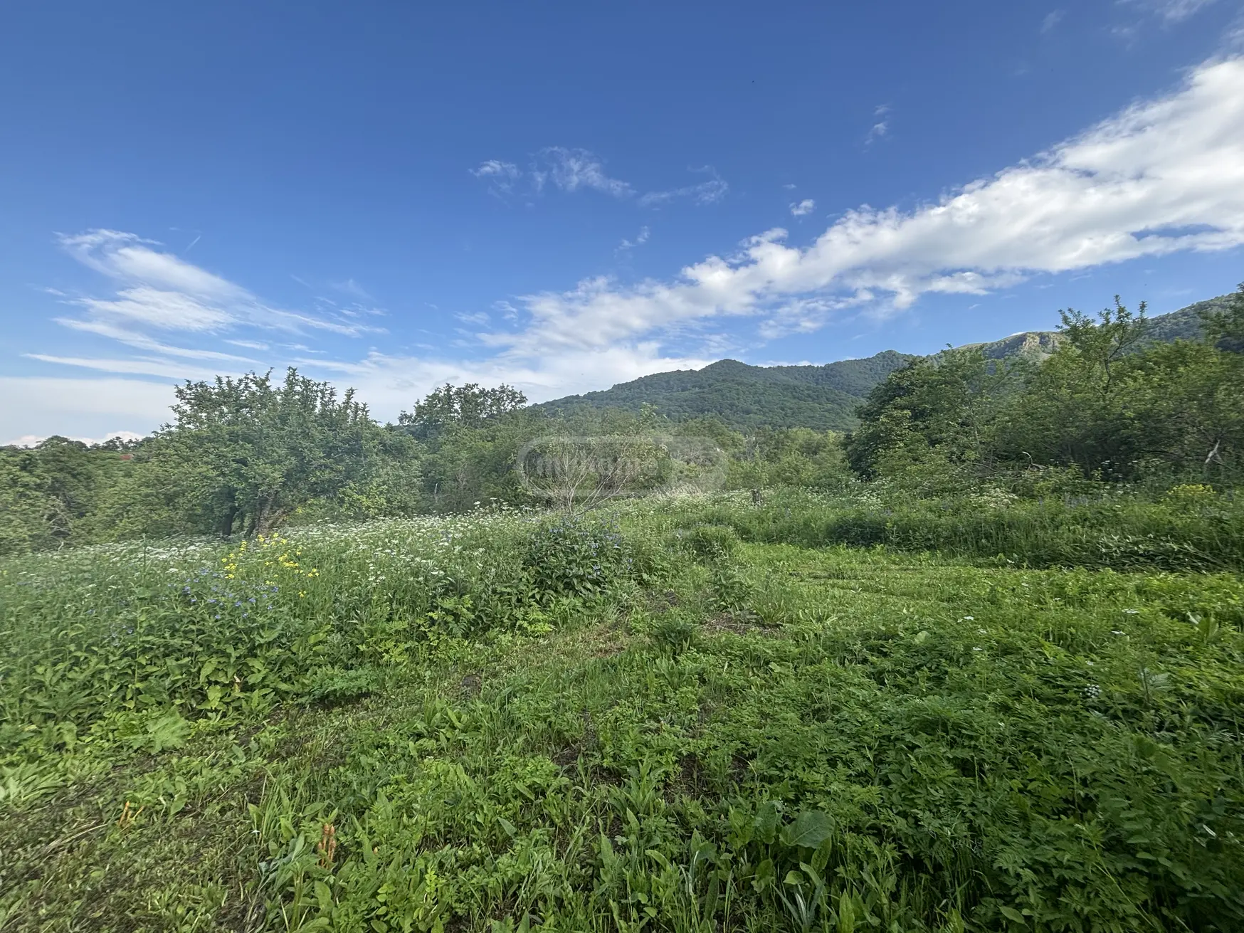 2 Room Country House For Sale view 13