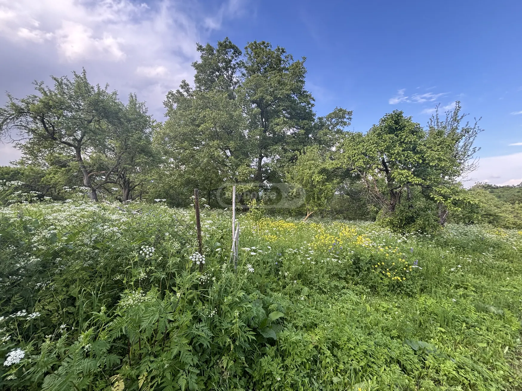 2 Room Country House For Sale view 10
