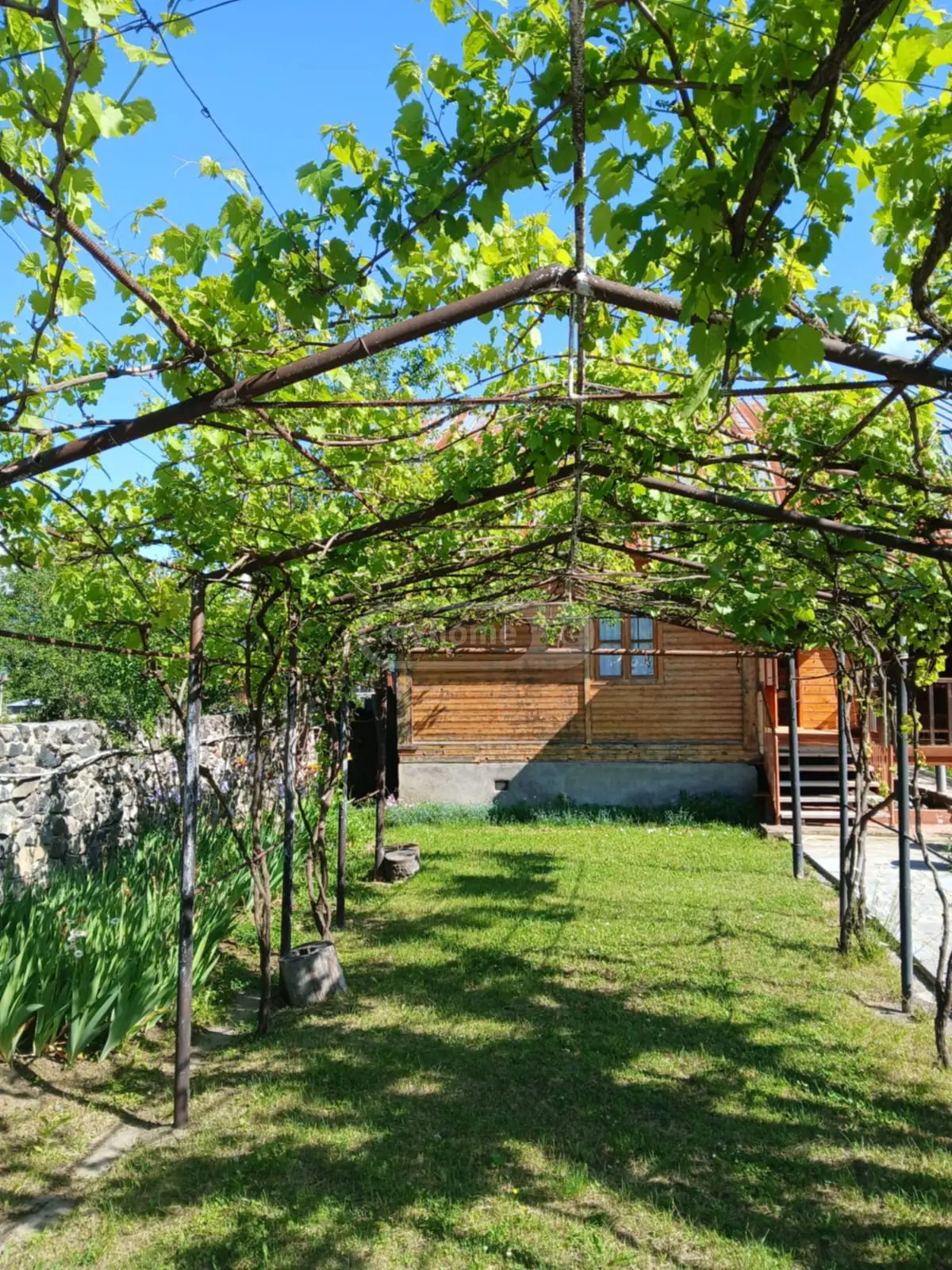 3 Room Country House Daily Rent In Borjomi view 4