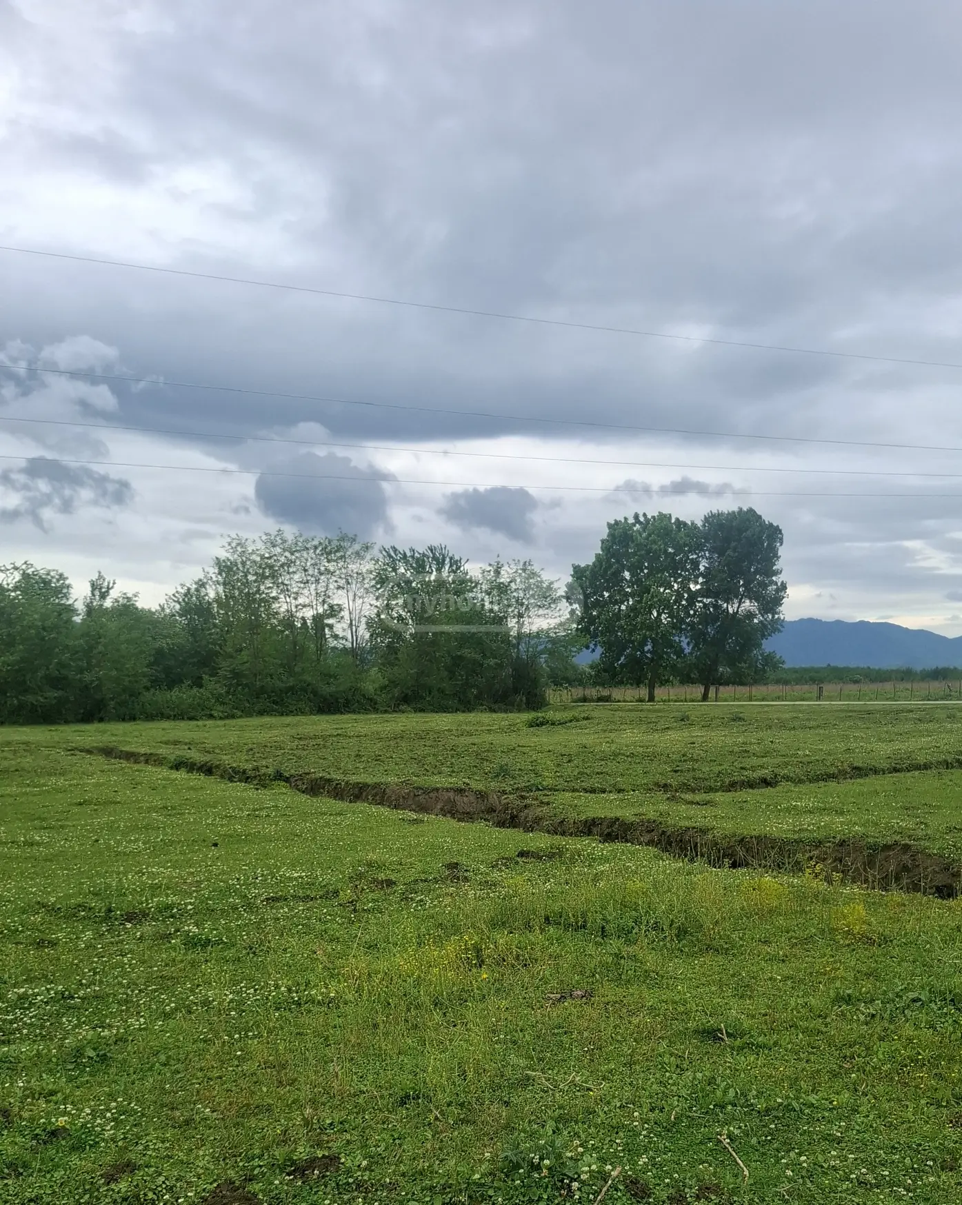 Agricultural Plot For Sale In Samtredia view 3