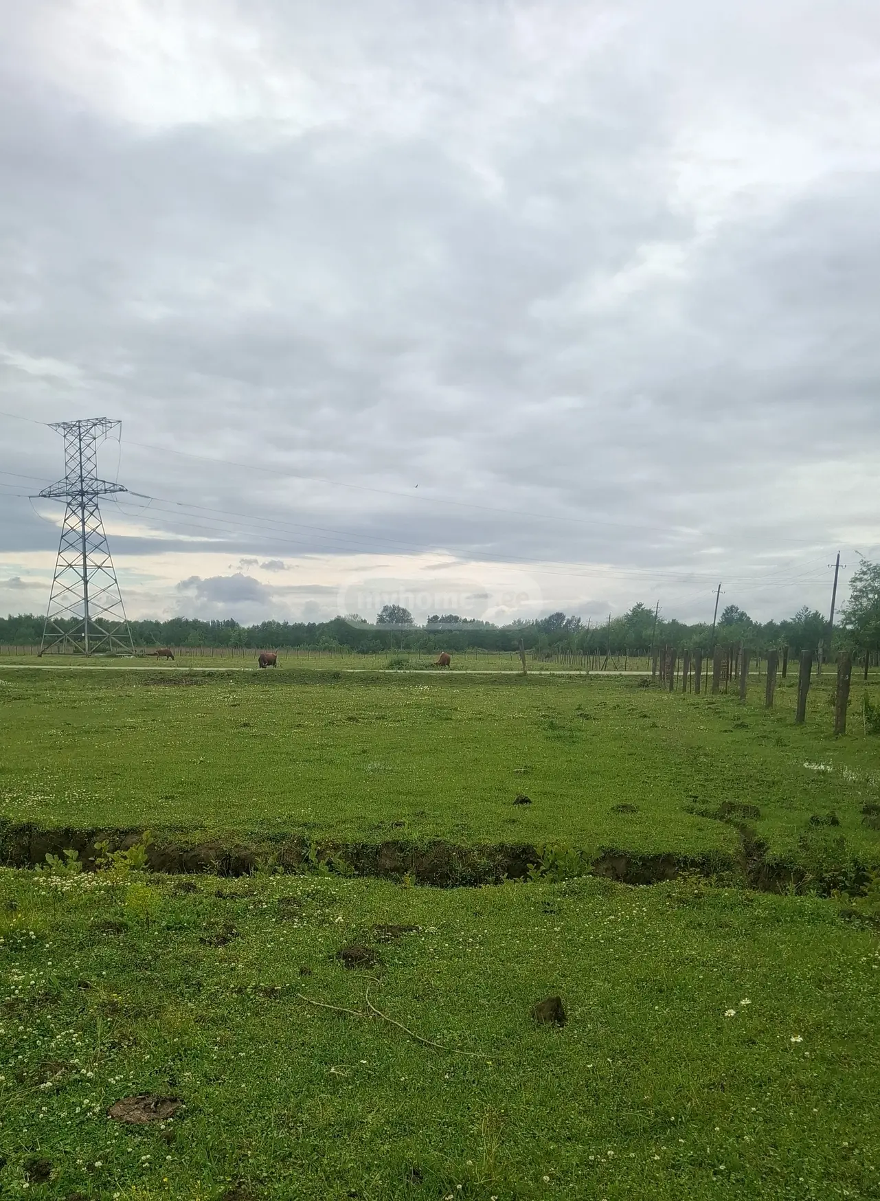 Agricultural Plot For Sale In Samtredia view 2