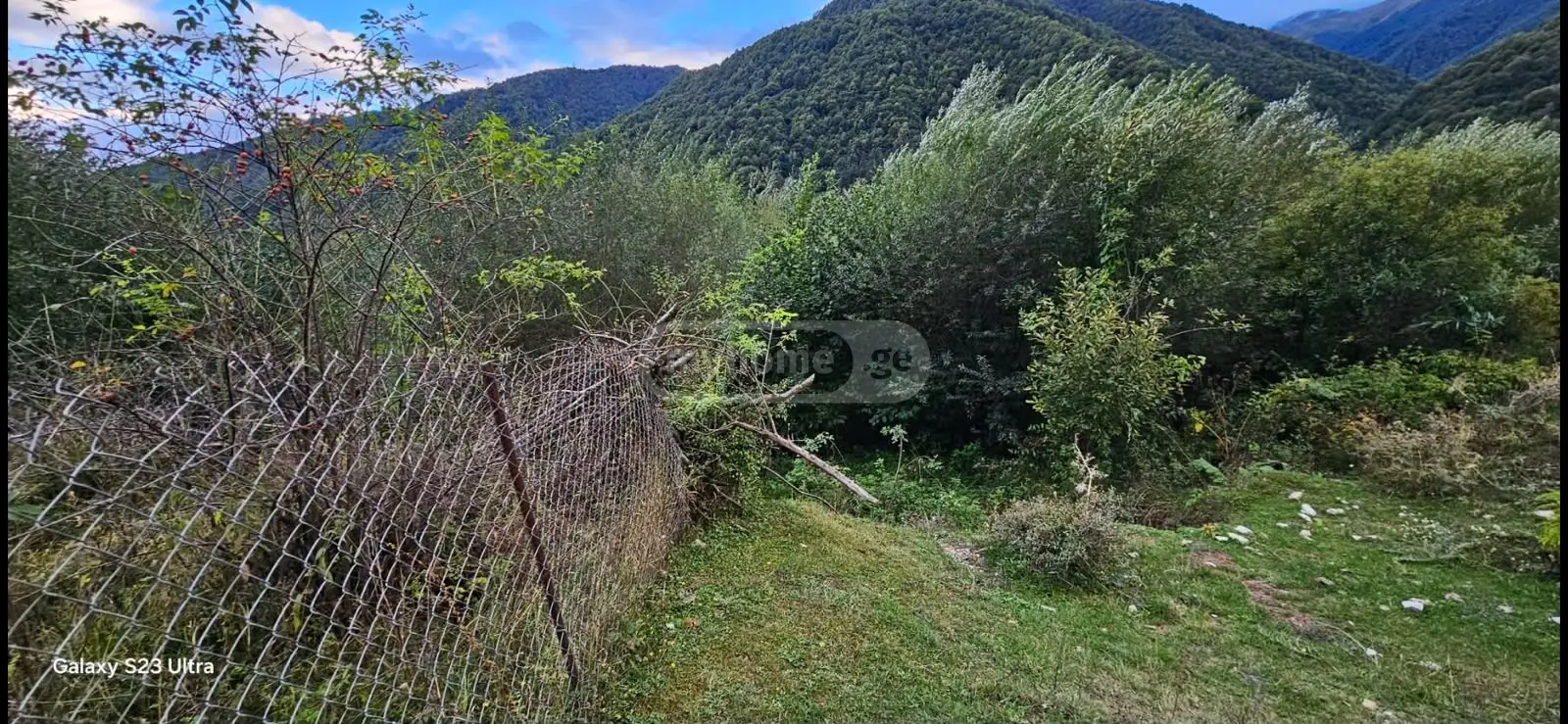 იყიდება Agricultural Plot In Dushetiში view 3