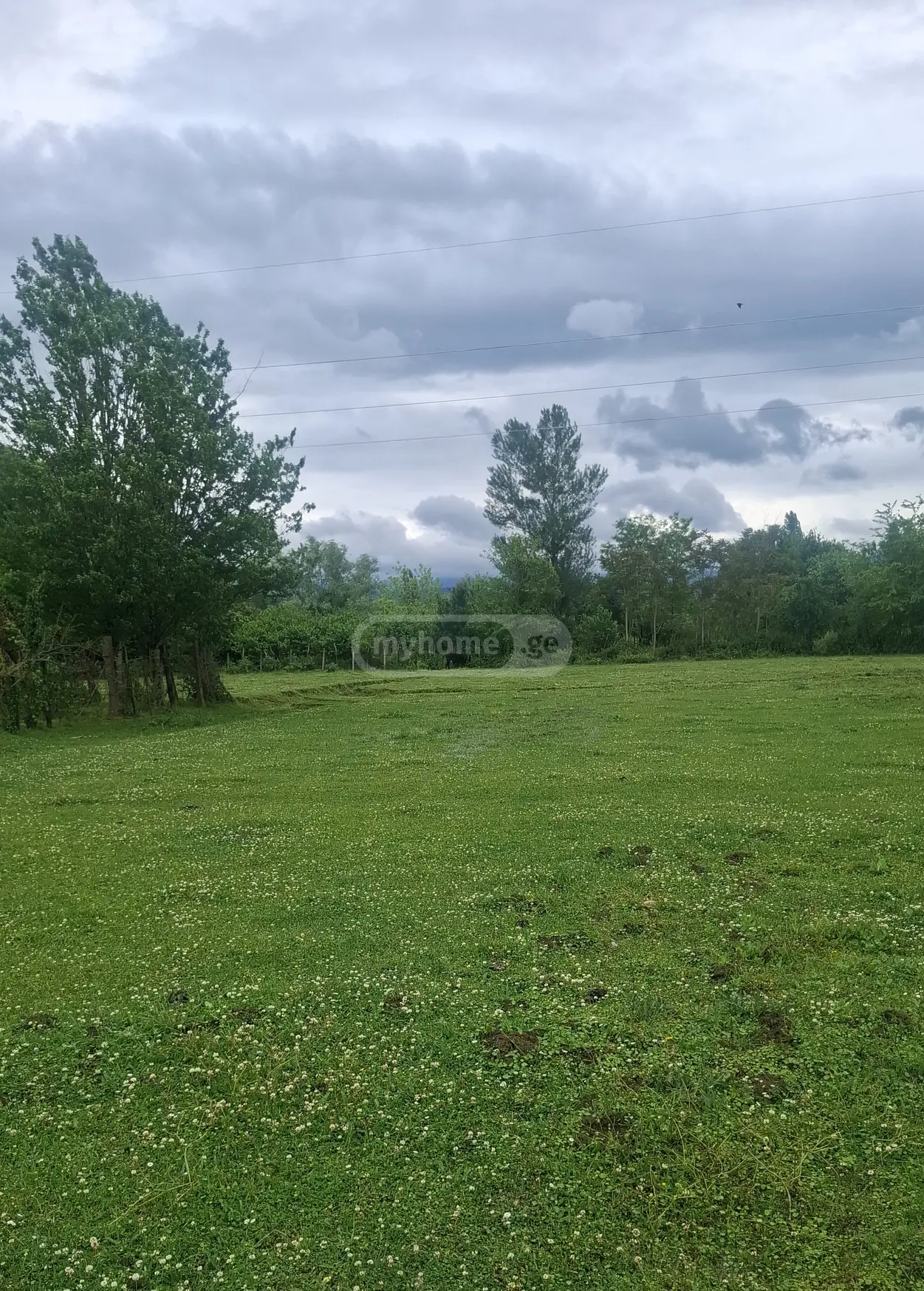 Agricultural Plot For Sale In Samtredia view 1