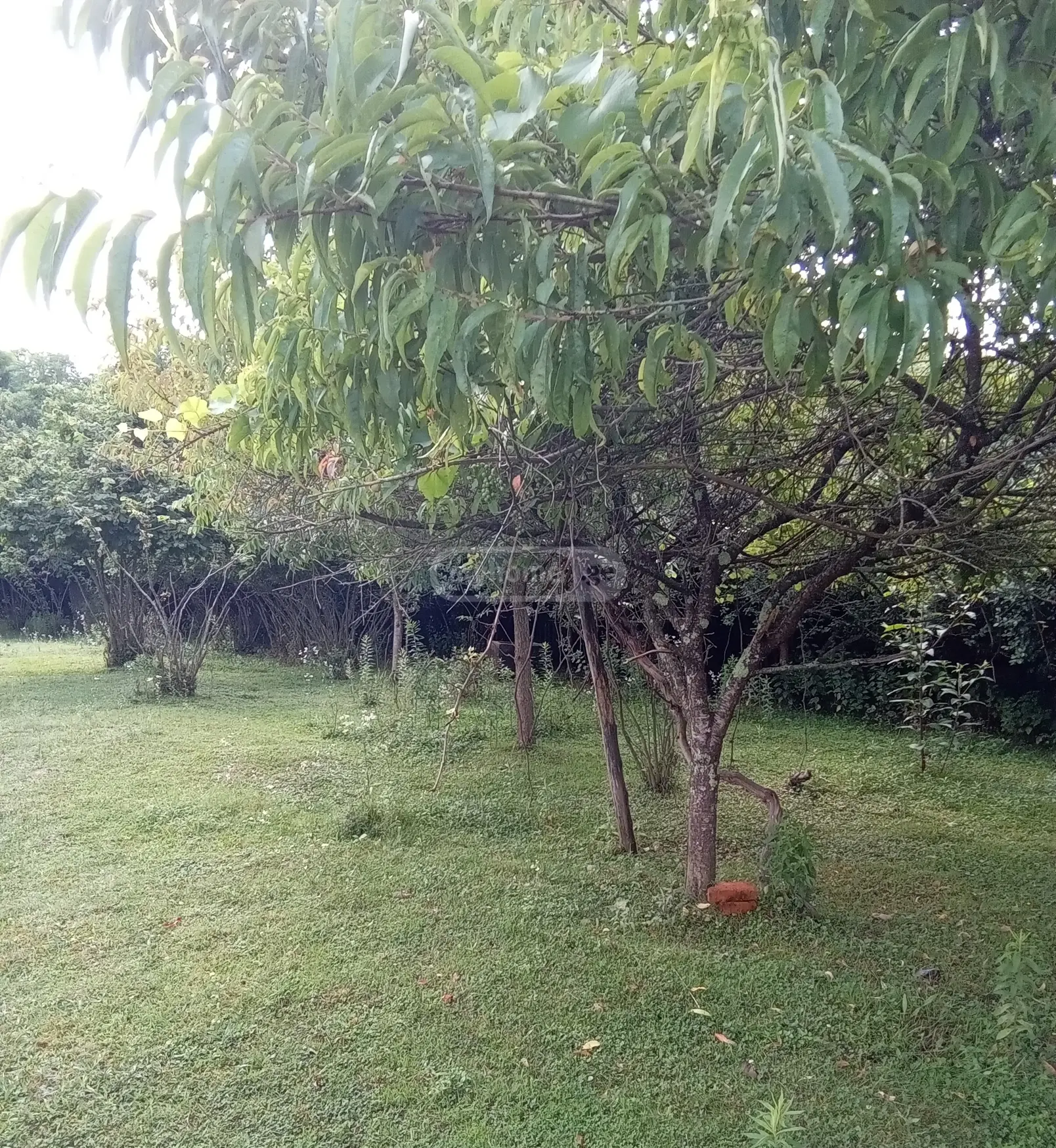 4 Room Private House For Sale view 4