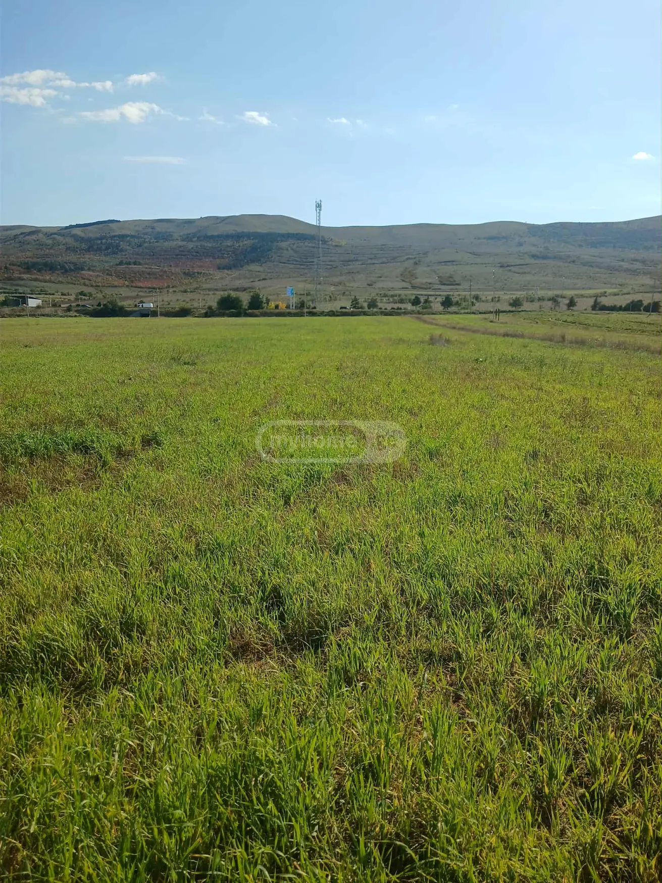 Agricultural Plot For Sale In Gori view 8