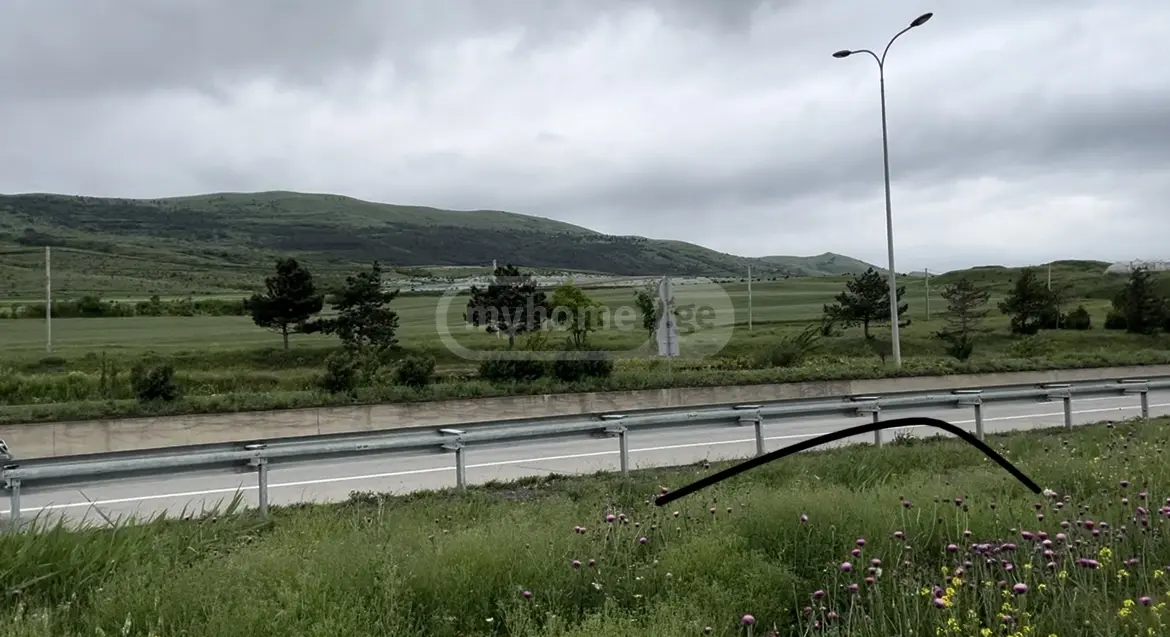 Agricultural Plot For Sale In Gori view 2