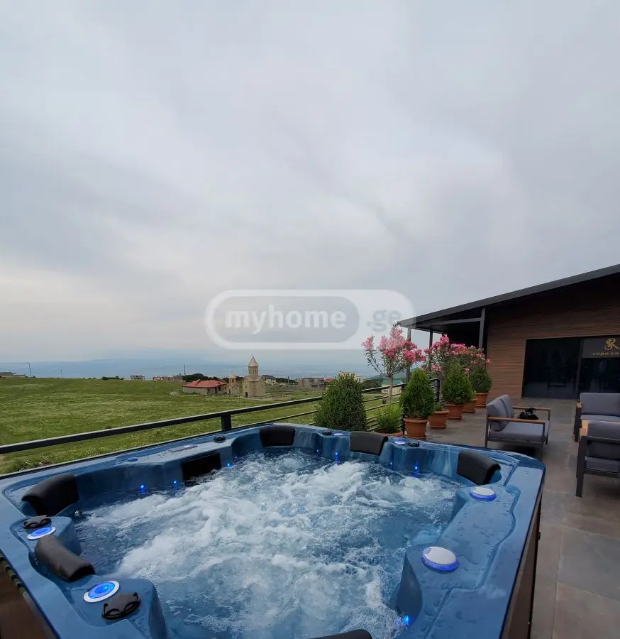 6 Room Private House Daily Rent In Tabakhmela view 16